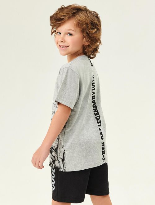 Camiseta Infantil Menino T-Rex Mescla Abrange