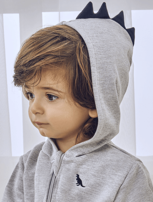 Conjunto Jaqueta E Calça Dino Mescla Abrange