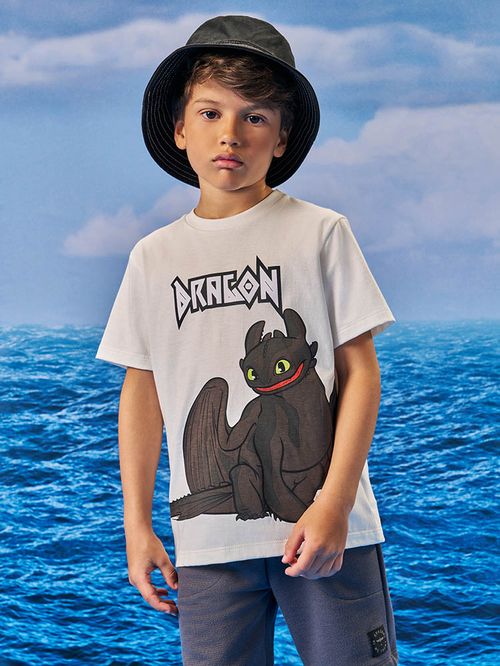 Conjunto Menino Banguela Dragon Natural
