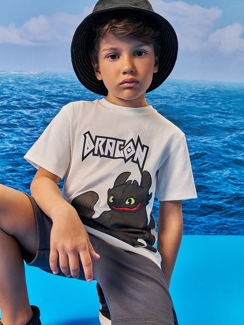 Conjunto Menino Banguela Dragon Natural