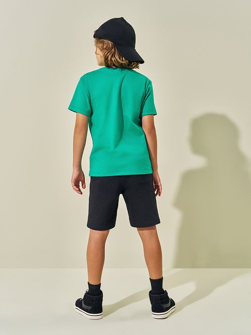Camiseta Colecionável Menino T-Rex Verde