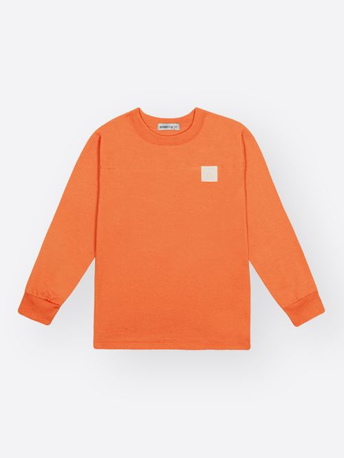 Camiseta Infantil Menino Sunset Canyon Divertto