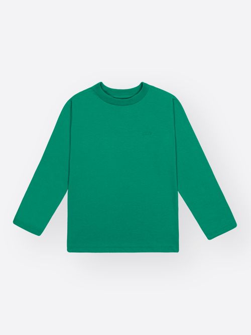Camiseta Manga Longa Infantil Menino DVTT Divertto