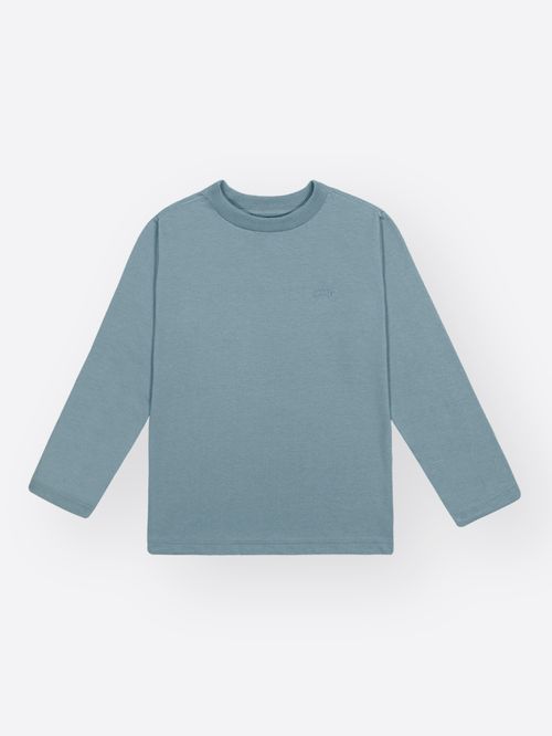Camiseta Manga Longa Infantil Menino DVTT Divertto