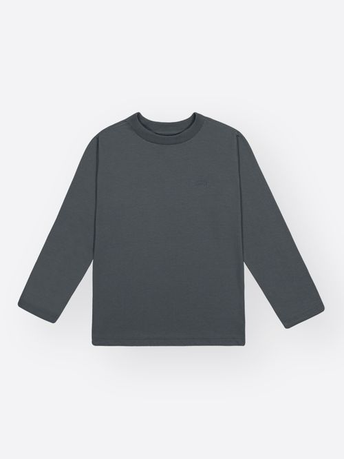 Camiseta Manga Longa Infantil Menino DVTT Divertto