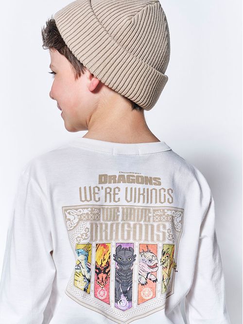 Camiseta Dragon Infantil Menino We Are Vikings Divertto