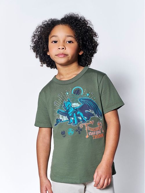 Camiseta Dragon Infantil Menino Thoothless Fougher Divertto