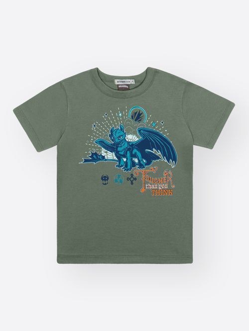 Camiseta Dragon Infantil Menino Thoothless Fougher Divertto