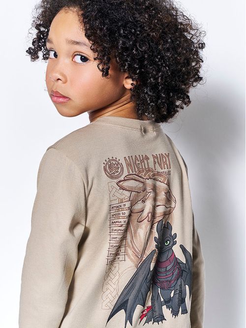 Camiseta Dragon Infantil Menino Fúria da Noite Divertto