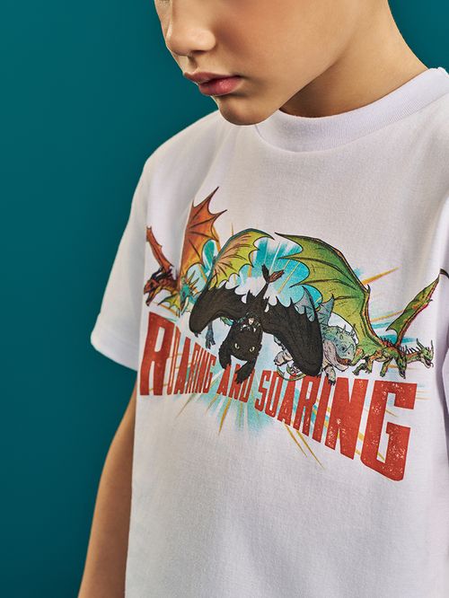 Camiseta Dragons Infantil Menino Roaring & Soaring Divertto