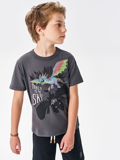 Camiseta Dragons Infantil Menino Take It To The Sky Divertto