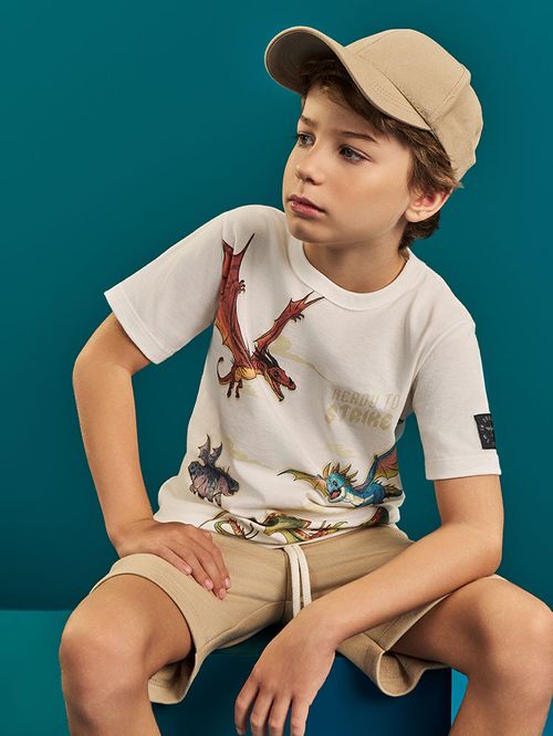 Camiseta Dragons Infantil Menino Ready To Strike Divertto