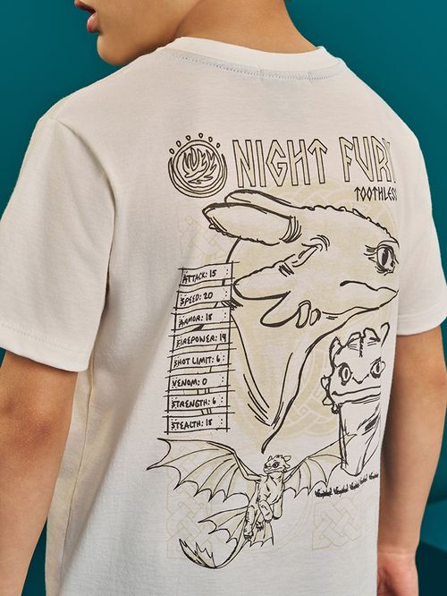 Conjunto Dragons Infantil Menino Night Fury Divertto