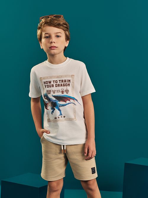 Conjunto Dragons Infantil Menino Train Your Dragon Divertto