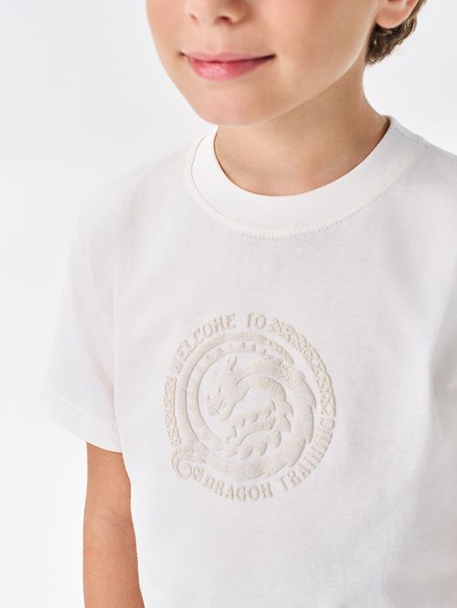 Conjunto Dragons Infantil Menino Dragon Training Divertto